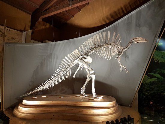 Natural History Museum